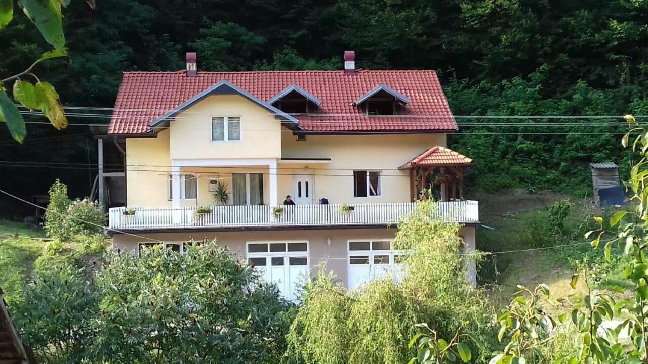 Guesthouse Stanojevic Guča Exterior foto