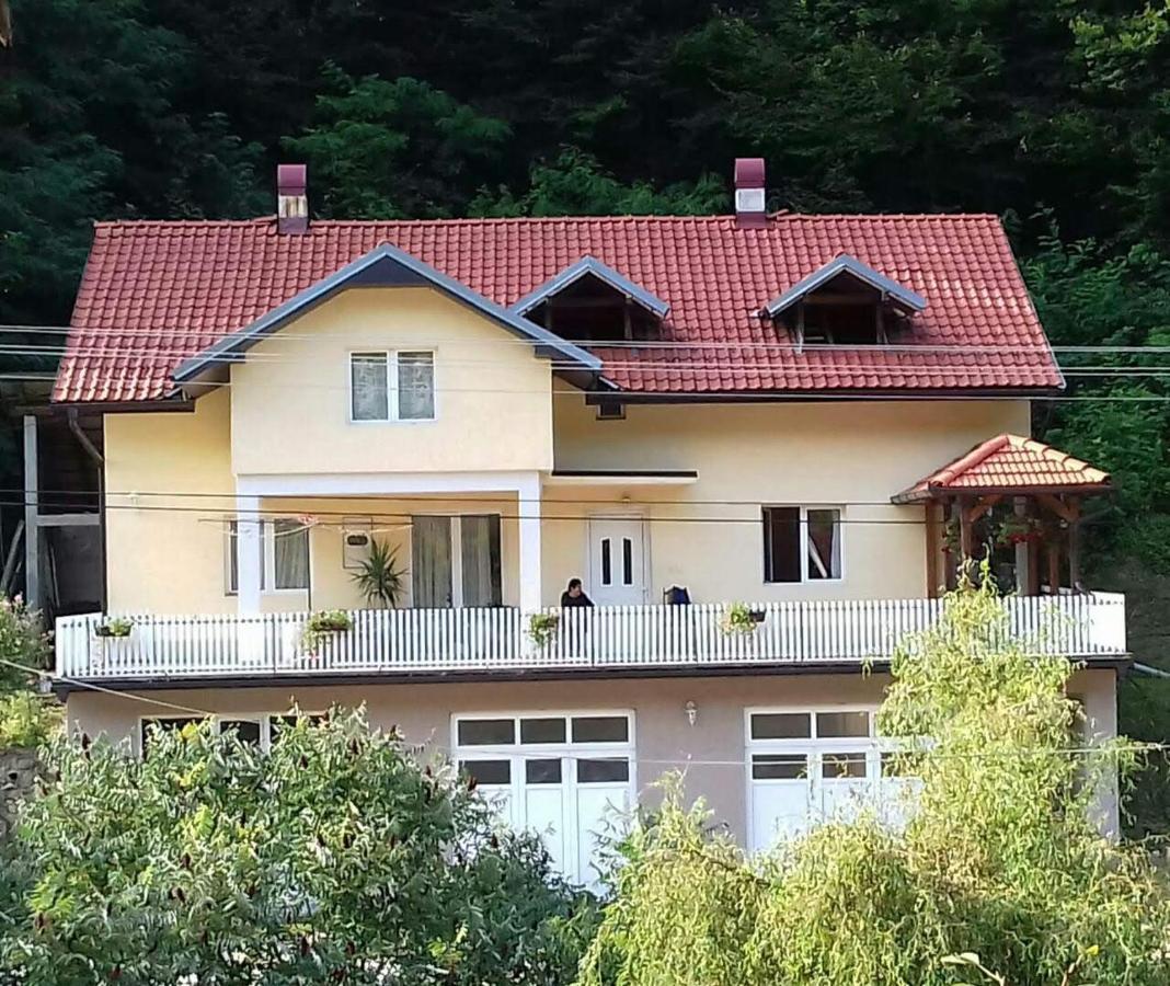 Guesthouse Stanojevic Guča Exterior foto